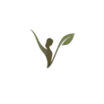 vireliwellness.com